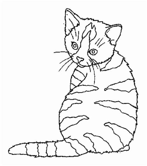 Katzen bilder zum ausdrucken kostenlos best 27 tolle ziege. Katze malvorlagen kostenlos zum ausdrucken - Ausmalbilder ...