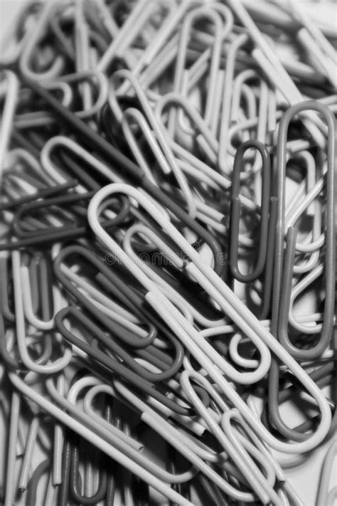 Pile Of Paper Clips On A Blackandwhite Effect Stock Photo Image Of