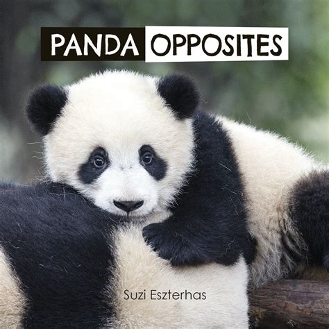 Panda Opposites in 2020 | Opposites, Panda, National ...