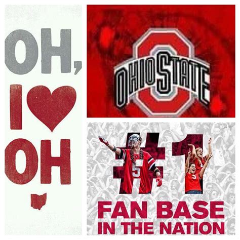 The Ohio State University Logo Is Shown In Three Different Colors And