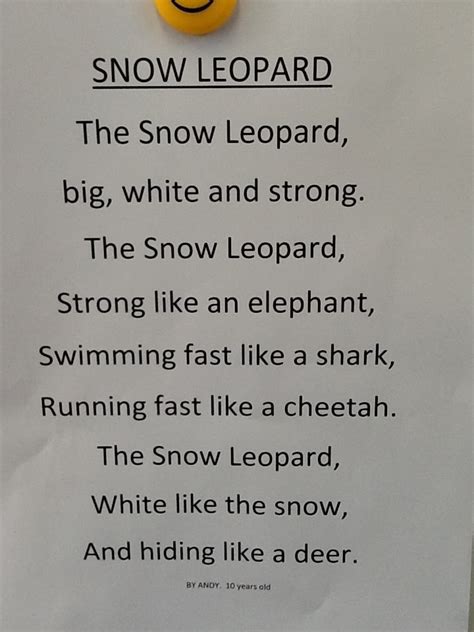 Forrest Hill ESOL stars: Poetry