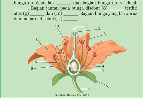 Wow 14 Gambar Bunga Dan Fungsi Bagian Bunga Gambar Bunga Indah Vrogue