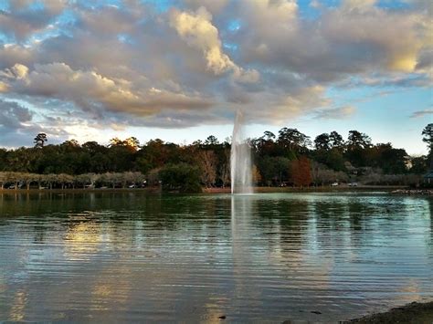 Lake Ella Tallahassee Visions Of Travel