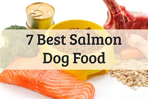 7 Best Salmon Dog Food To Consider 2022 Review Update