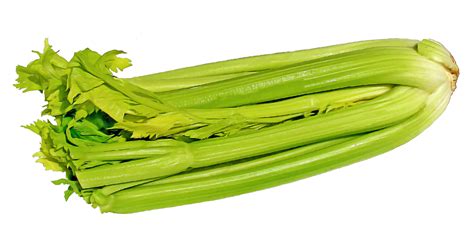 Green Celery Png Image For Free Download