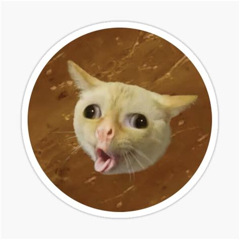 10x Coughing Cat Meme Vinyl Sticker Pack Funny Cat Me