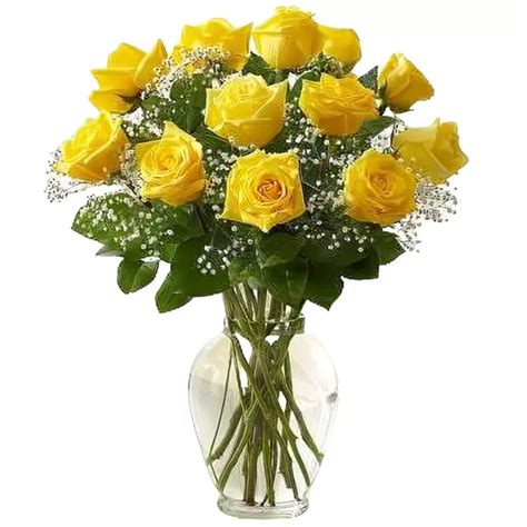 Premium Long Stem Yellow Roses Nyc Flower Delivery
