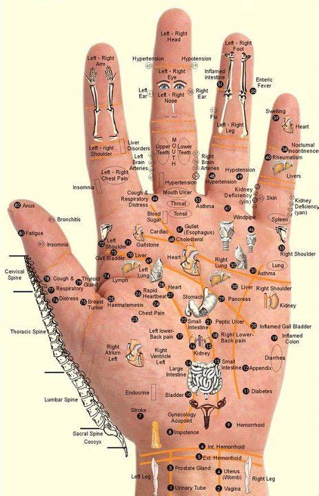 17 Best Images About Flex Point Hands And Foot Chart On Pinterest