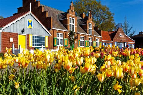 Tulip Festivals Best Locations To Visit All Around The World Rent N