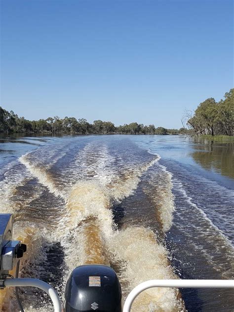 Murray River Businesses Worry Flood Warning Could Dry Up Summer Trading