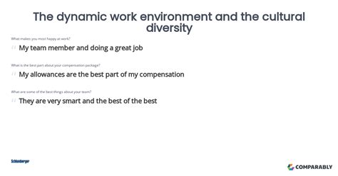 Schlumberger The Dynamic Work Environment And The Cultural Diversity