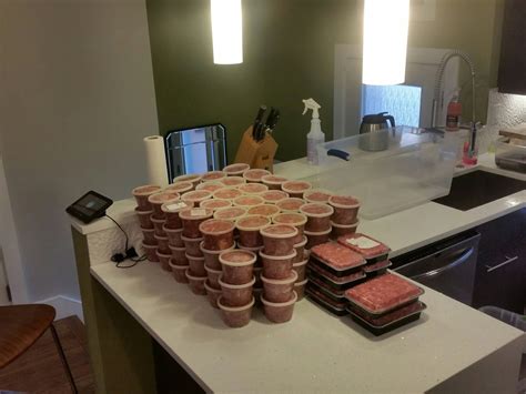 All coupons deals free shipping verified. My process of making raw-meat dog food - 150lb batch http ...