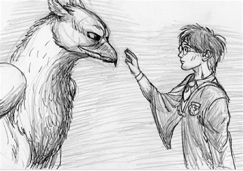 Hippogriff Et Harry Potter Animaux Fantastiques Animaux Fantastique