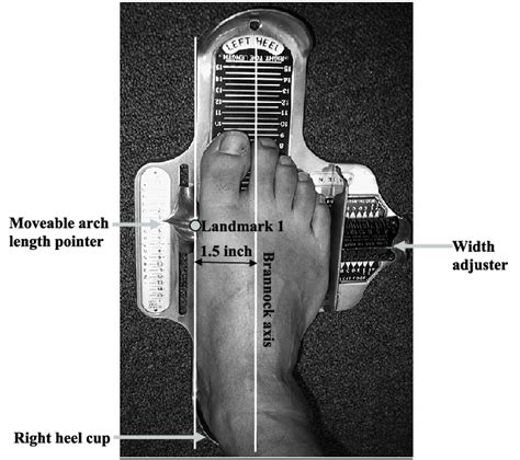 Clothes Shoes And Accessories Cm Sizes Genuine Brannock Device Foot