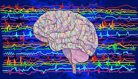 Rhythmic Brain Waves Determine How Well We Perceive Queensland Brain