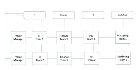 Matrix Organizational Structure Examples Advantages And