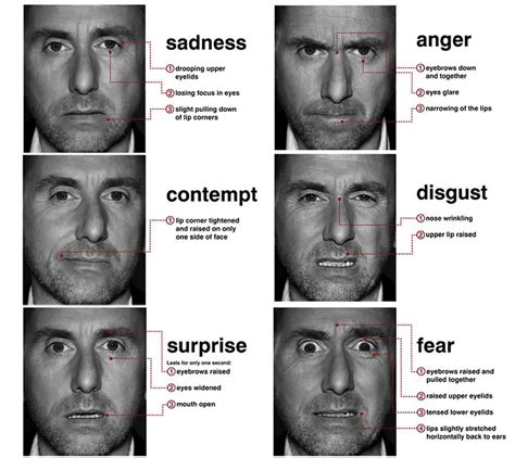Am I In Trouble Interpreting Facial Expressions Emotion Brain