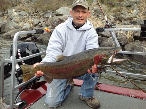 Steelhead Are Biting Montana Hunting And Fishing