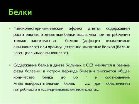 Гипохолестеринемическая Диета Что Это Такое — Похудение Диета Картинка - Гипохолестеринемическая Диета Что Это Такое — Похудение Диета