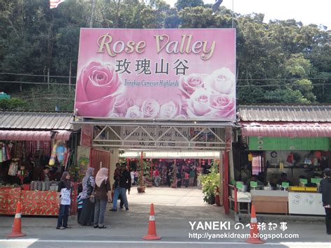 Location of cameron highlands rose valley: 