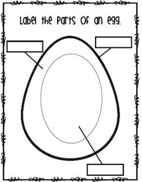 The parts of an egg your skills & rank. Label the parts of an egg | Teacher Stuff | Pinterest ...