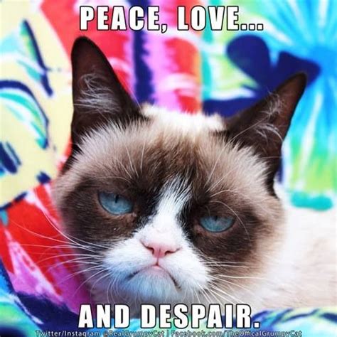Peace Loveand Despair With Images Grumpy Cat Grumpy Cat Humor Grumpy Cat Meme