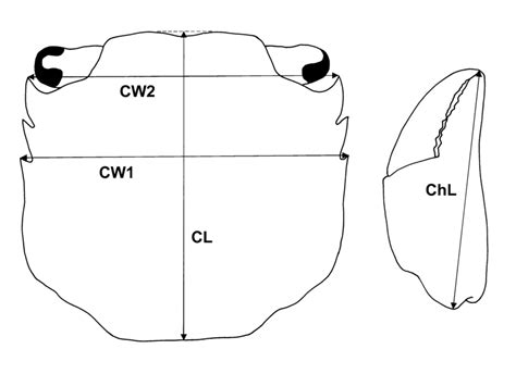 Definition Of The Morphometric Measurements Of Carapace And Cheliped