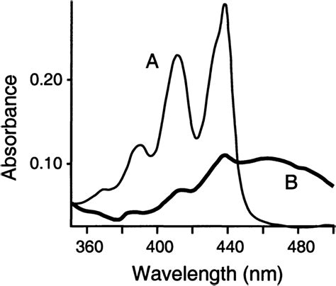 UVVIS Spectra Of A Perylene PMMA Film Before A And After B A 4 H