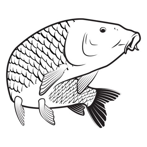 Carp Fish Stroke Transparent Png And Svg Vector File