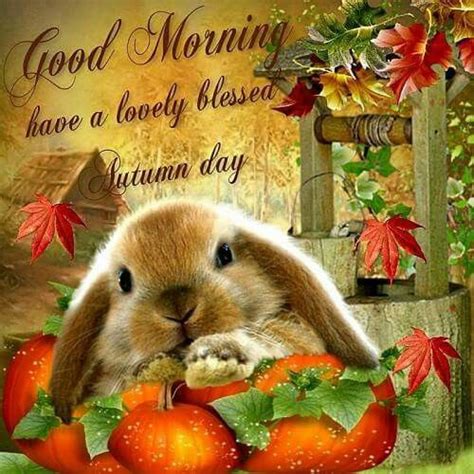 Good Morning Have A Lovely Blessed Autumn Day Pictures Photos And