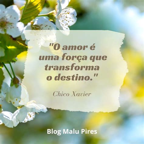 Mensagem Espirita De Hoje