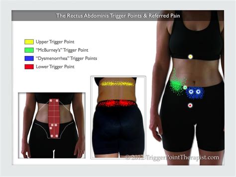 Start studying 08 back muscles label. Pin on PAIN CONTROL~ACCURPREASURE~REFLEXOLOGY~MASSAGE~BODY PART EXERCISES