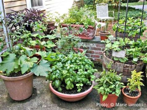 Crafty Container Vegetable Gardening Design Ideas And Tips