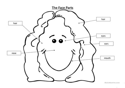 Human face parts 3 sense organs icons square. Face parts worksheet - Free ESL printable worksheets made by teachers