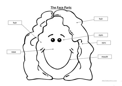 Click on the images to see the pdf versions with exercises. Face parts worksheet - Free ESL printable worksheets made ...
