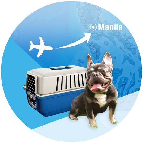 Going the extra 1,399 miles. Pet Travel into PH - (Pet Import Services) - Kingchaypets