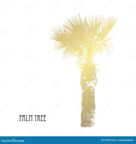 Golden Palm Tree Stock Vector Illustration Of Arrangement 129731935