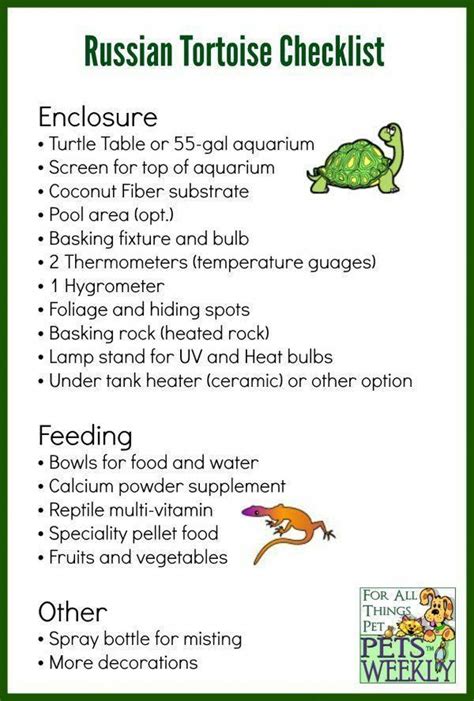 Russian Tortoise Feeding Guide