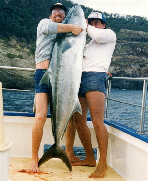 The Worlds Biggest Kingfish The Fishing Website