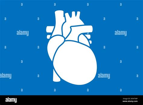 Símbolo Del Corazón Humano Aislado Sobre Fondo Azul Icono Del órgano