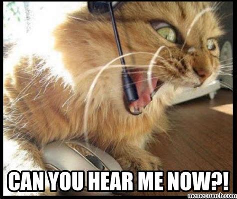 Cat Memes Angry Customer Service Cat Computer Humor Geek Humor