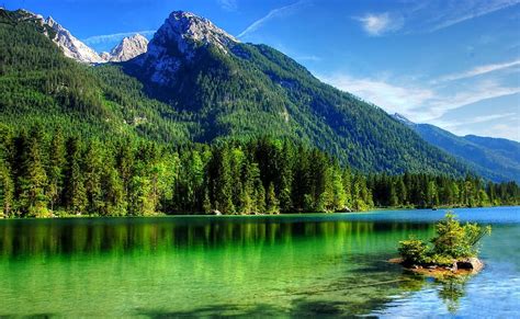 Hd Wallpaper Clear Photography Of Forest Mountain And Body Of Water
