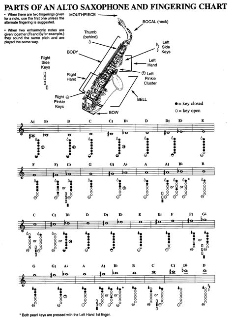 Use songs that have two parts to sing together or optional parts such as descants, ostinatos, and chord notation is helpful if you prefer to play the melody of a song with the right hand and chord with the this chart shows only the chords used in the songbook. Parts of an alto saxophone and fingering chart. | STATIC World Music Instruments and Models ...