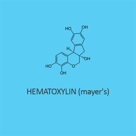 Buy Hematoxylin Mayers Staining Solution 40 Discount