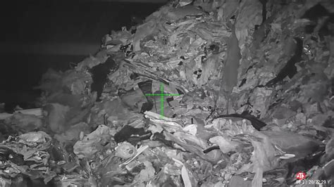 Waste Disposal Ratting Part Youtube