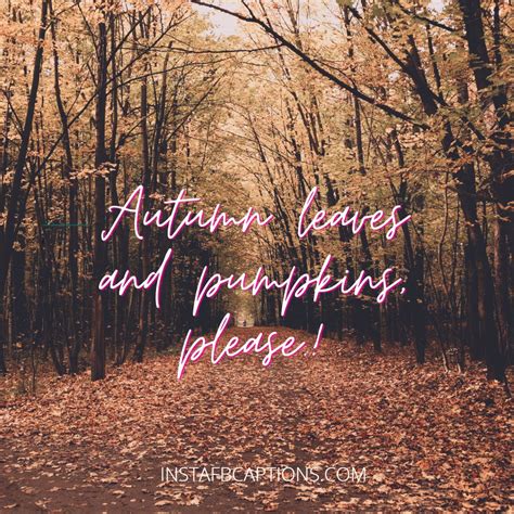 Popular October Fall Captions Quotes For Instagram In 2024
