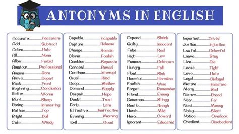Antonym 120 Common Antonyms In English From A Z Opposites List