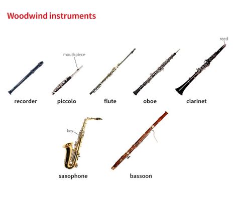 Whats The Difference Between Wind Instruments And Woodwind Quora