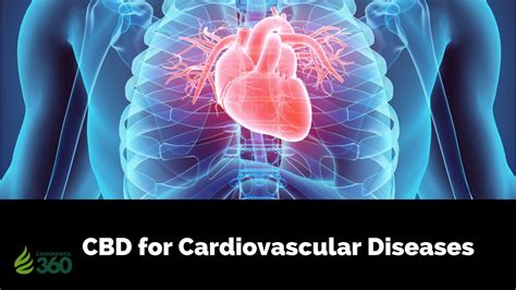 Cbd For Cardiovascular Diseases Cannabidiol 360