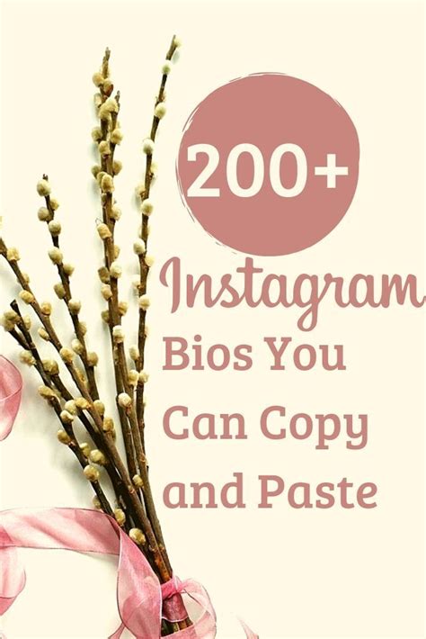 The Words 200 Instagramn Bios You Can Copy And Pastee